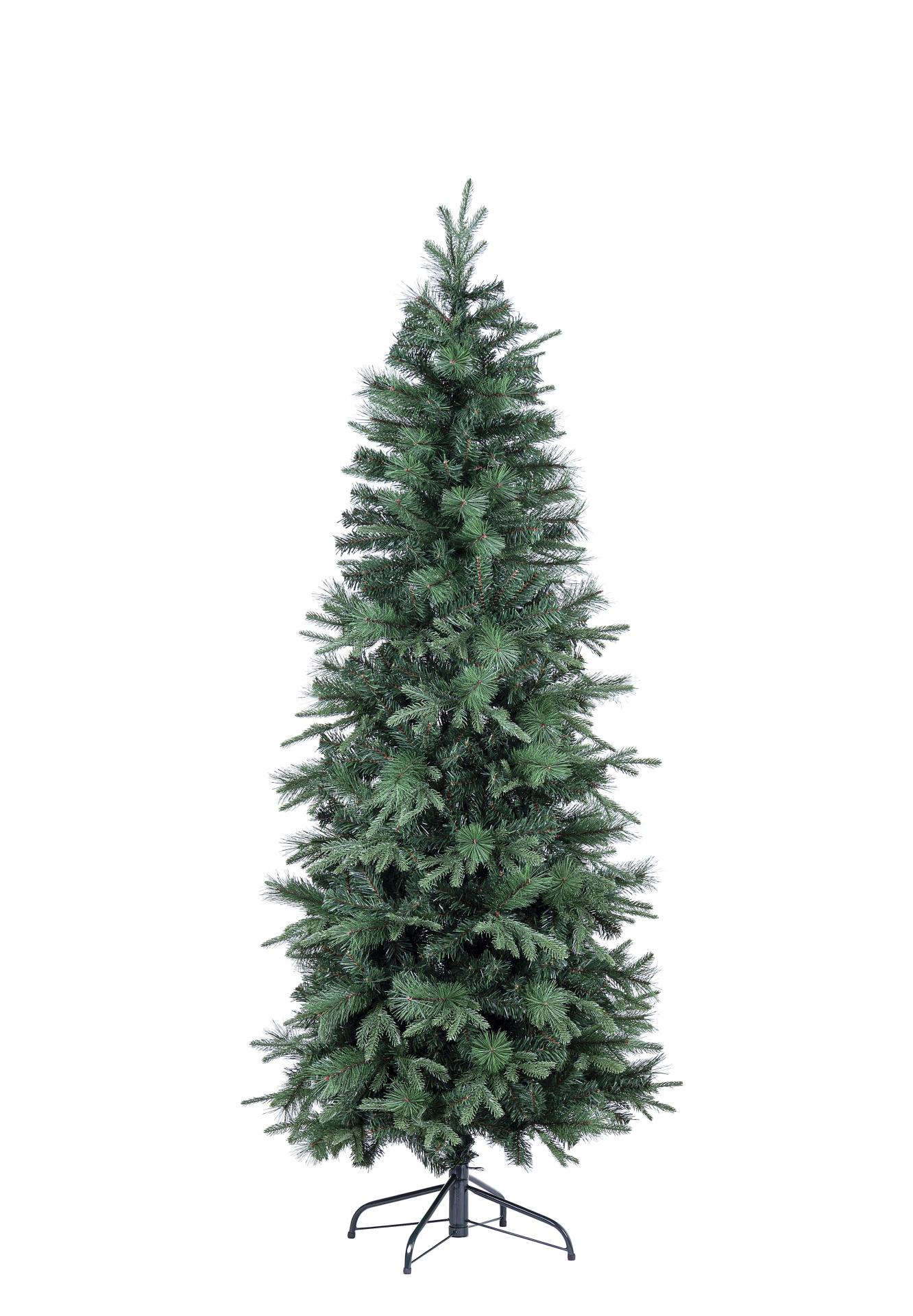 Weihnachtsbaum